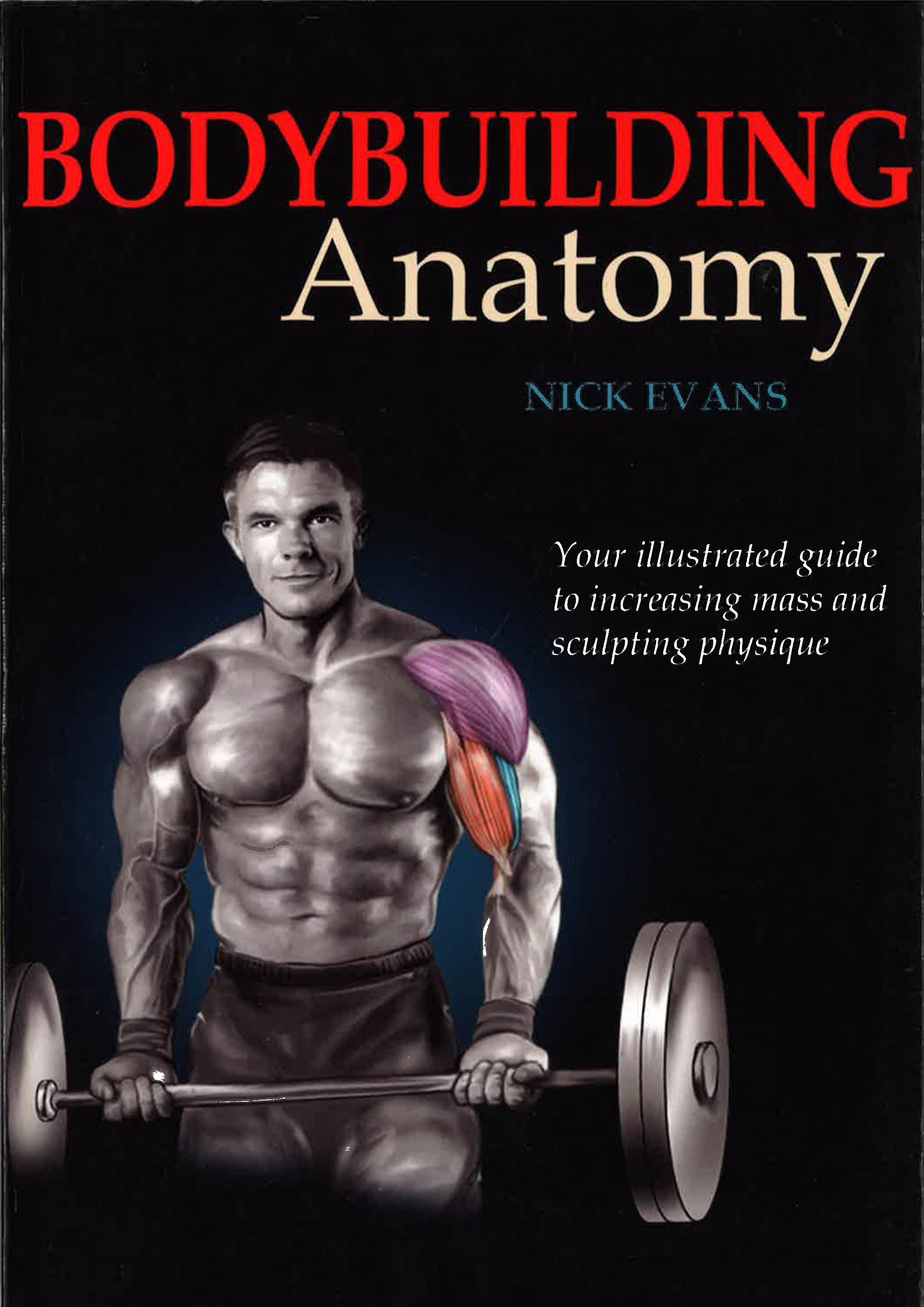 anatomy bodybuilding book