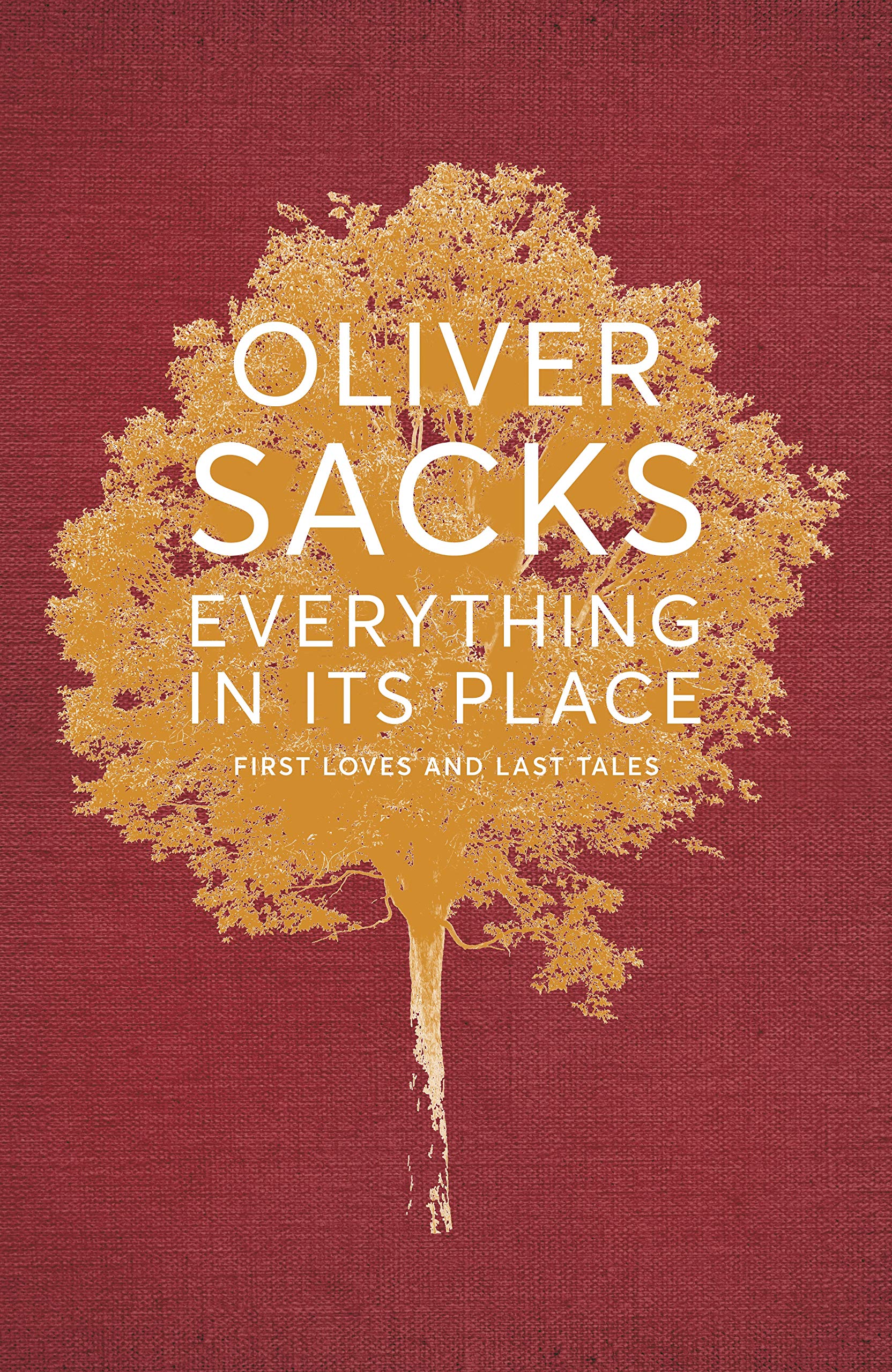 Review: 'Everything in Its Place,' by Oliver Sacks