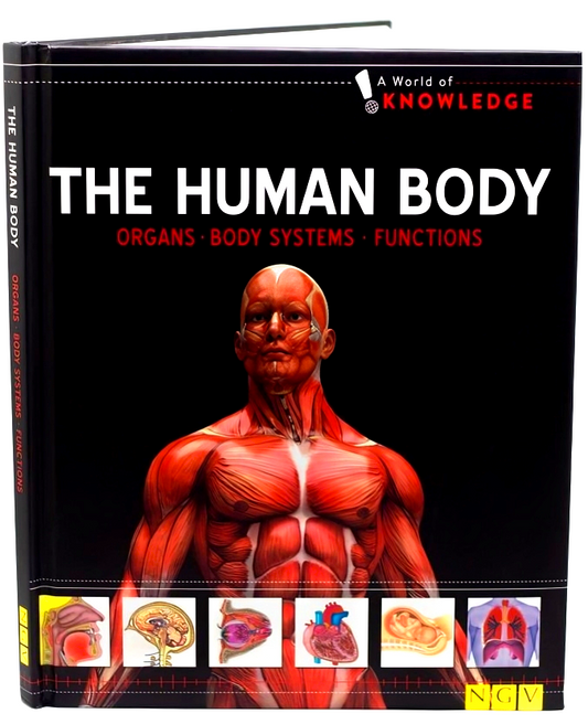 The Human Body