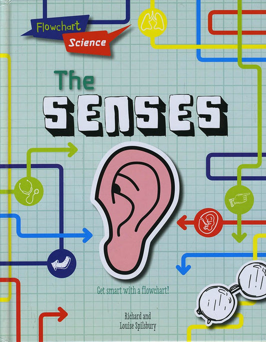 Flowchart Science: The Senses