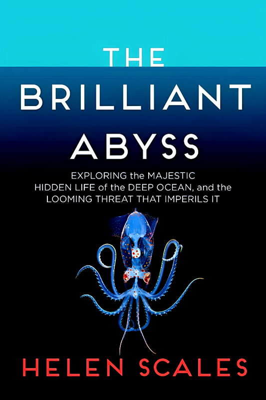 The Brilliant Abyss : Exploring the Majestic Hidden Life of the Deep Ocean, and the Looming Threat That Imperils It