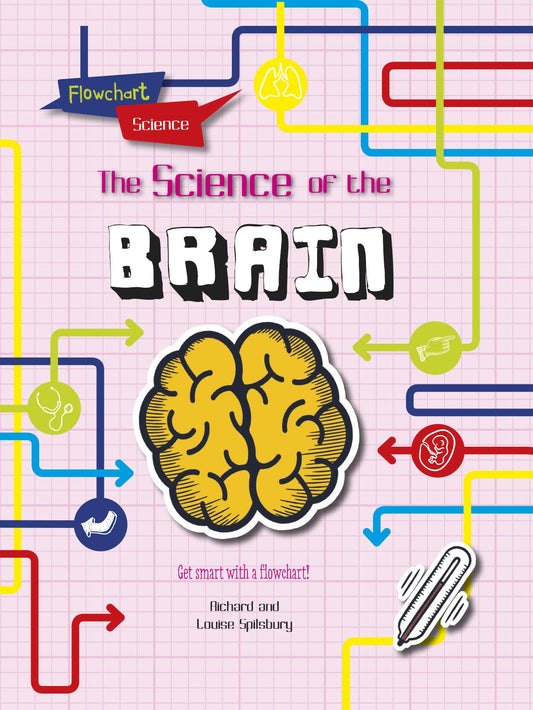 Flowchart Science: The Brain