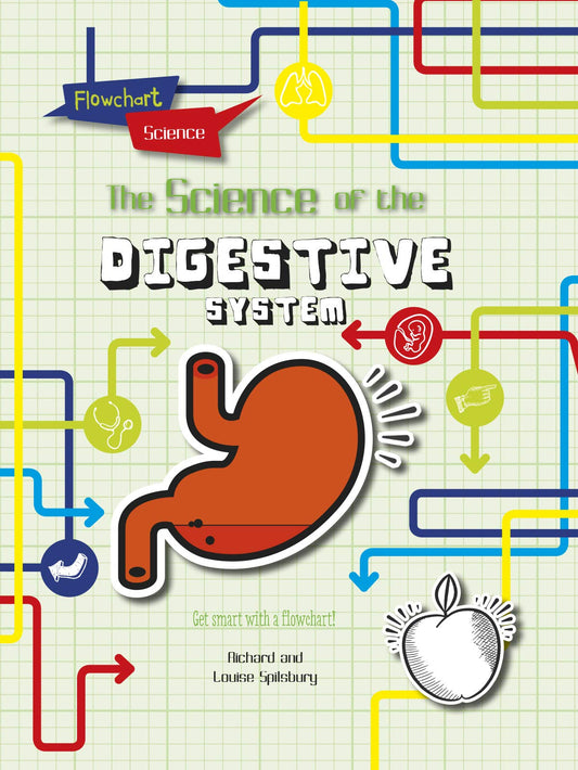 Flowchart Science: The Digestive System