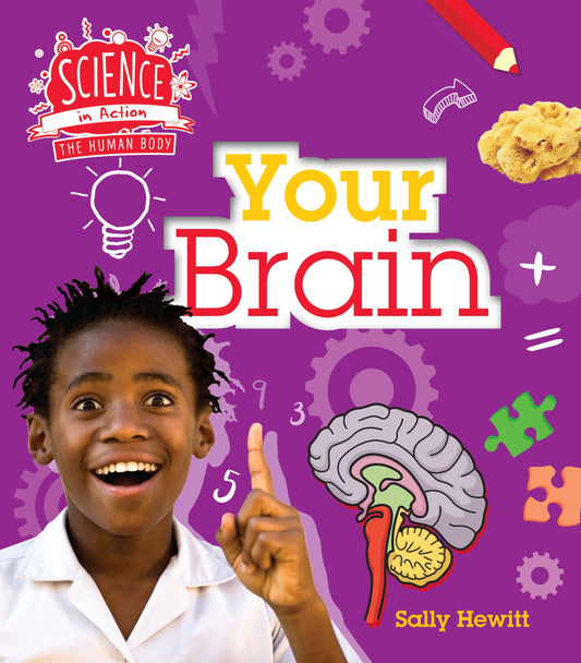 Science In Action: The Human Body - Your Brain