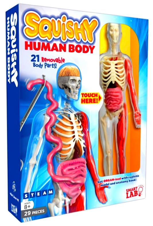 Smartlab Toys Squishy Human Body