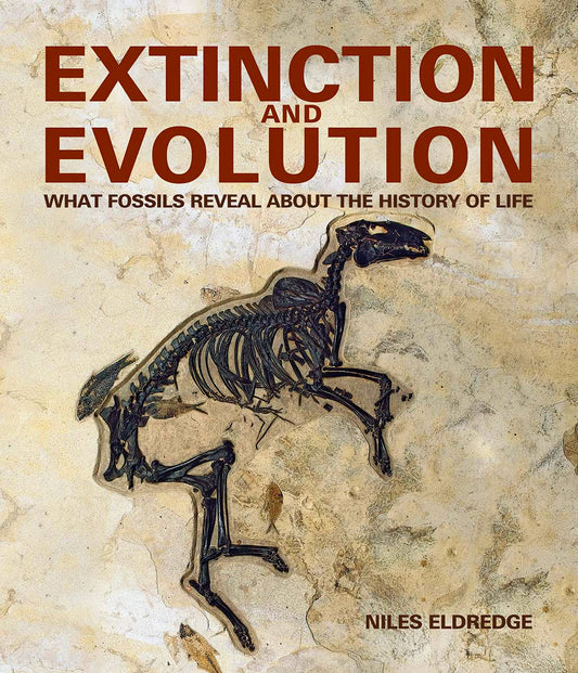 Extinction And Evolution