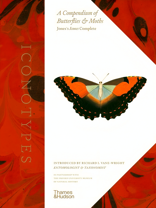 Iconotypes - A Compendium Of Butterflies & Moths