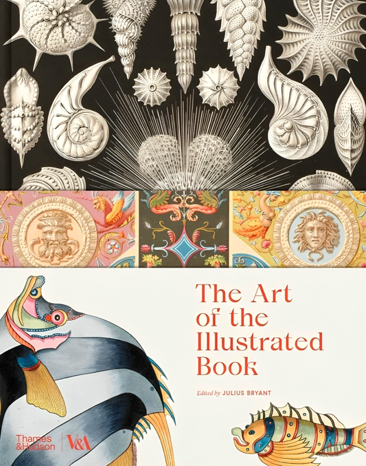 The Art Of The Illustrated Book