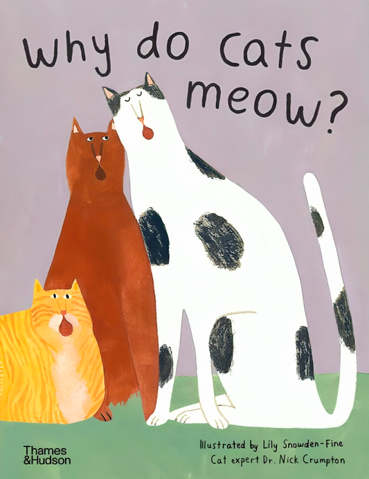 Why Do Cats Meow? Curious Questions About Your Favourite Pet