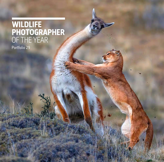 Wildlife Photographer Of The Year: Portfolio 29