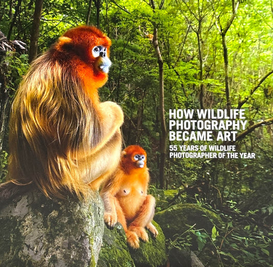 How Wildlife Photography Became Art