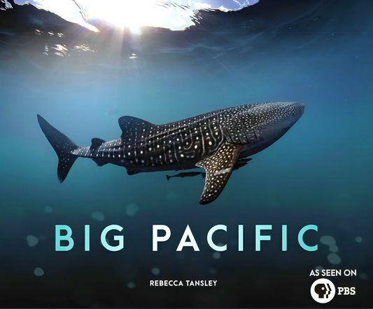 Big Pacific: Passionate, Voracious, Mysterious, Violent