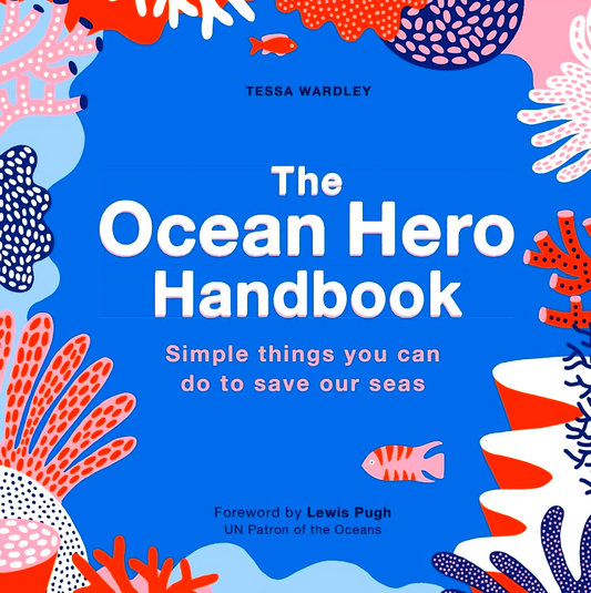 The Ocean Hero Handbook: Simple things you can do to save out seas