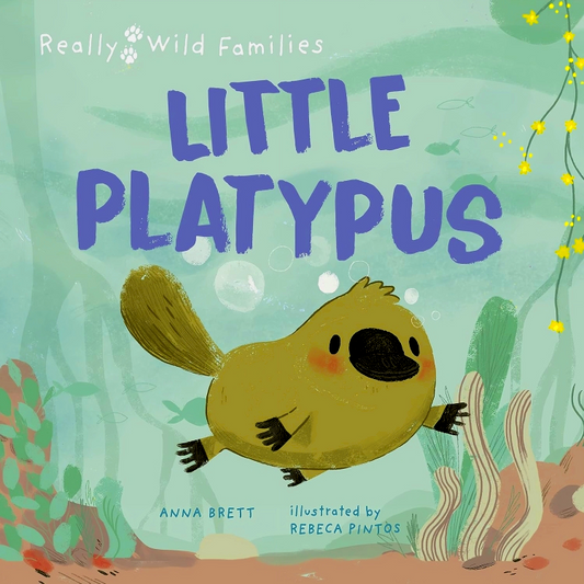 Little Platypus