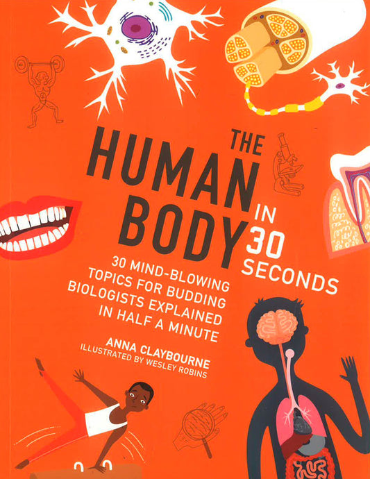 Human Body In 30 Seconds