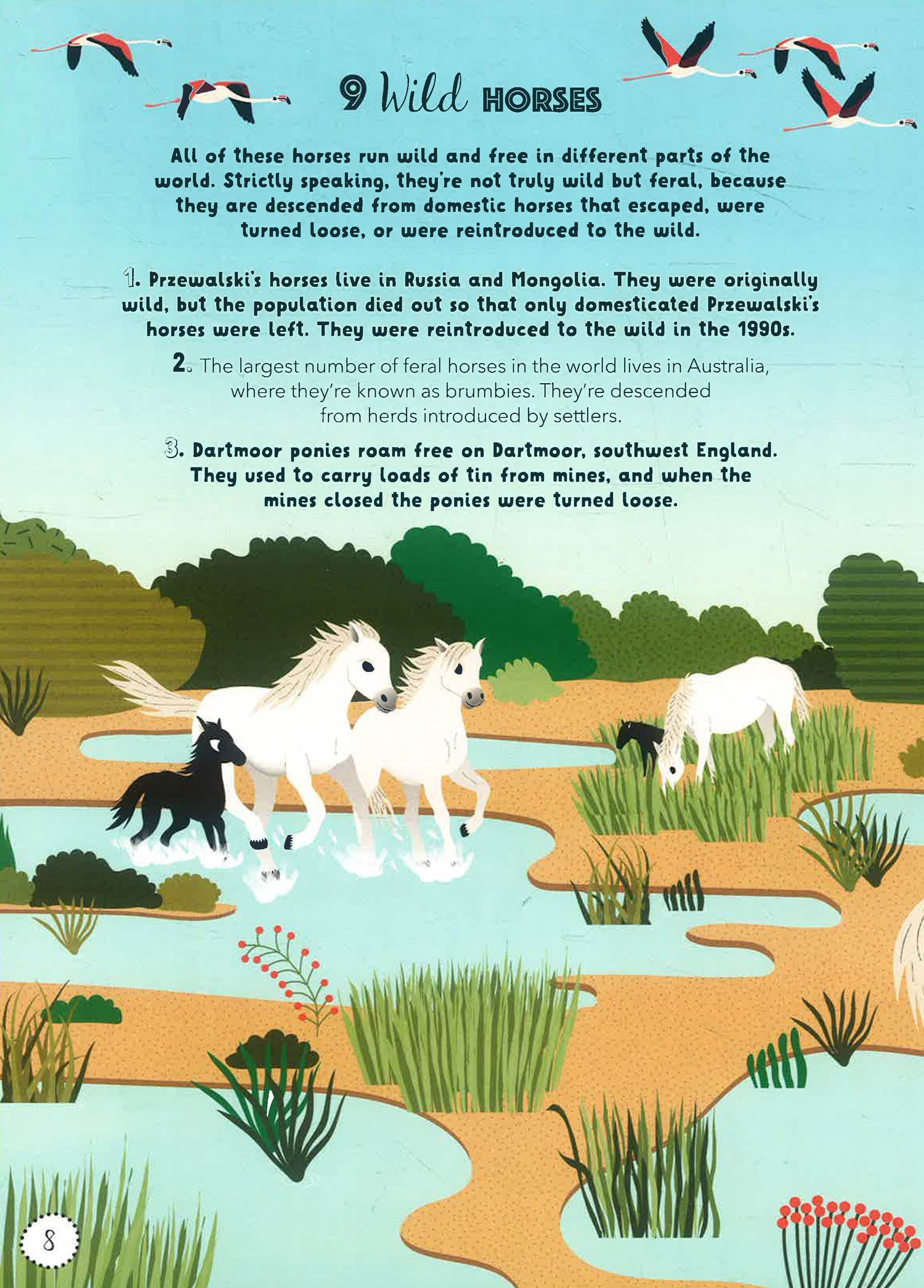 Lists For Curious Kids: Animals – BookXcess