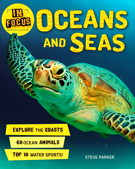 In Focus: Oceans And Seas