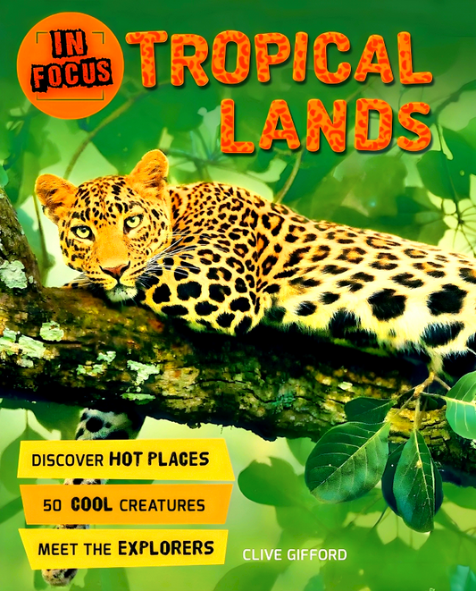 In Focus: Tropical Lands