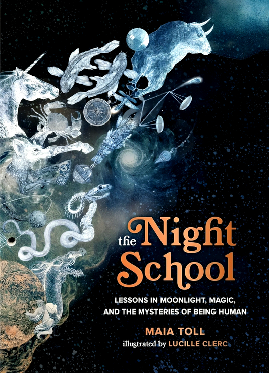 The Night School