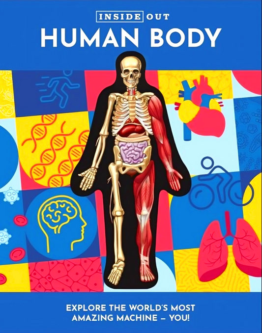 Inside Out Human Body