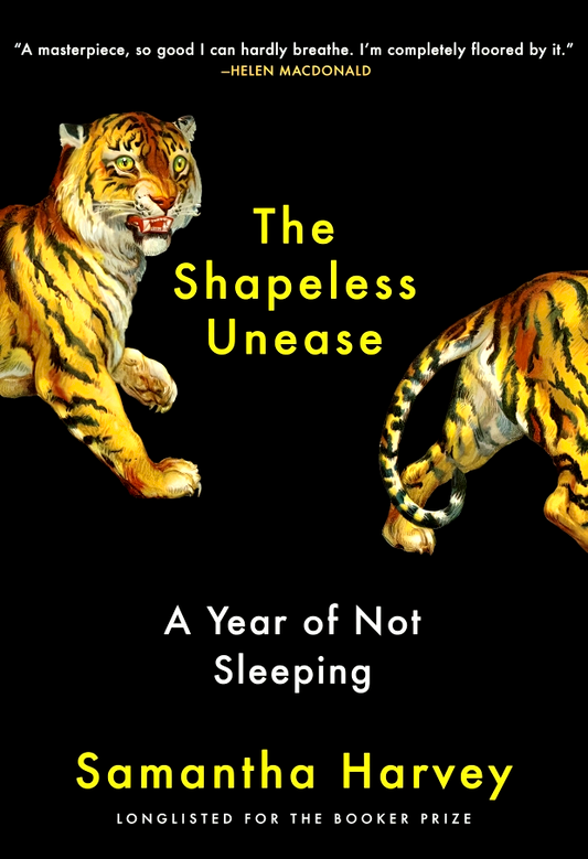 The Shapeless Unease: A Year of Not Sleeping