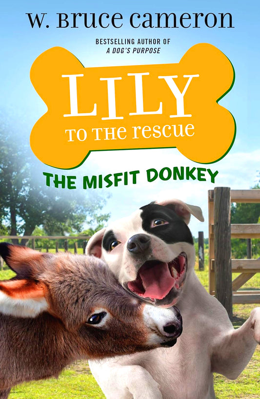 Lily To The Rescue: The Misfit Donkey