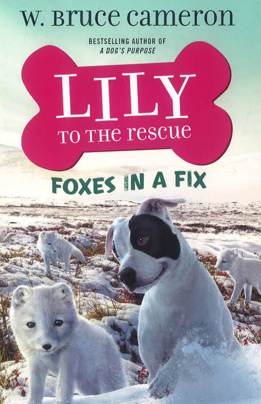 Lily To The Rescue: Foxes In A Fix