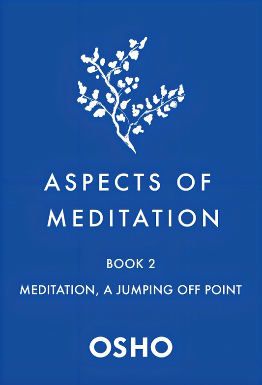 Aspects Of Meditation #2: Meditation, A Jumping Off Point