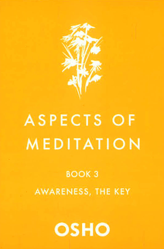 Aspects Of Meditation #3: Awareness, The Key