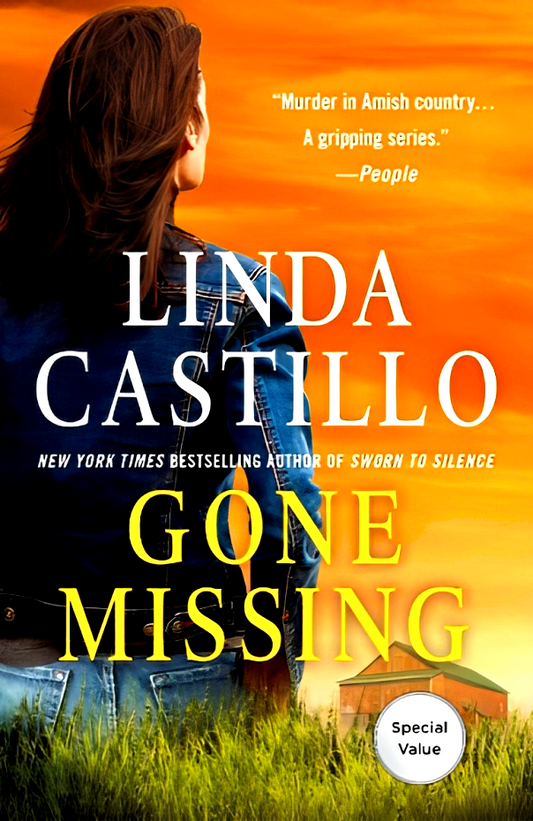 Gone Missing (Kate Burkholder)