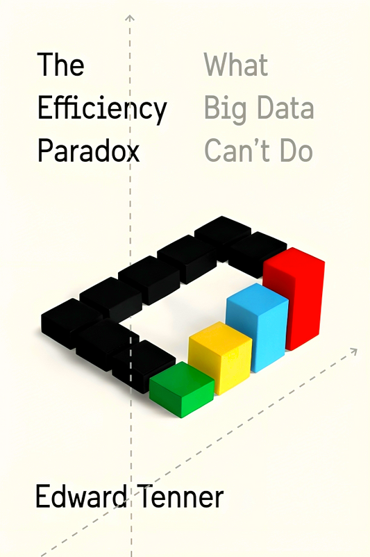 The Efficiency Paradox: What Big Data Can't Do