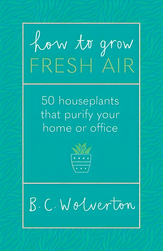 How To Grow Fresh Air