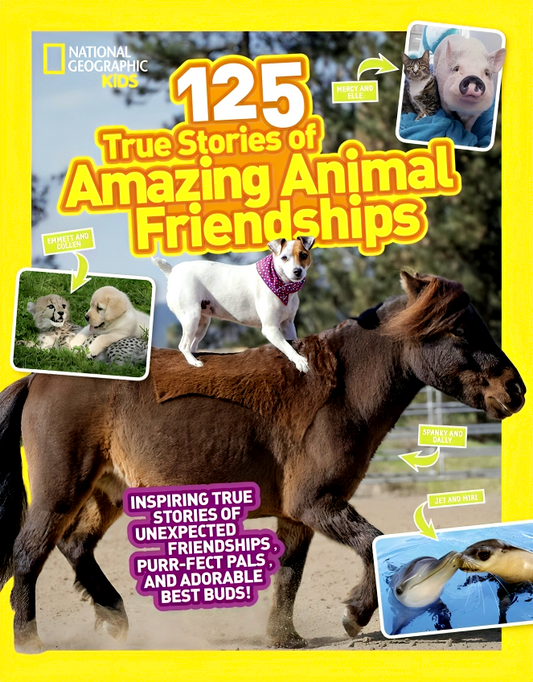 125 True Stories Of Amazing Animal Friendships