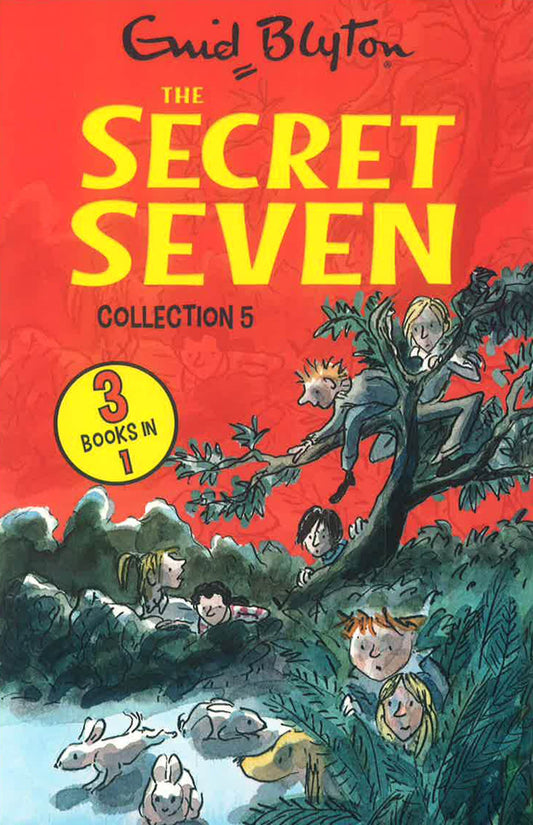 The Secret Seven Collection 5