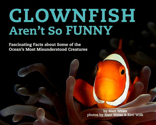 Clownfish Aren't So Funny: Fascinating Facts about Some of the Ocean's Most Misunderstood Creatures