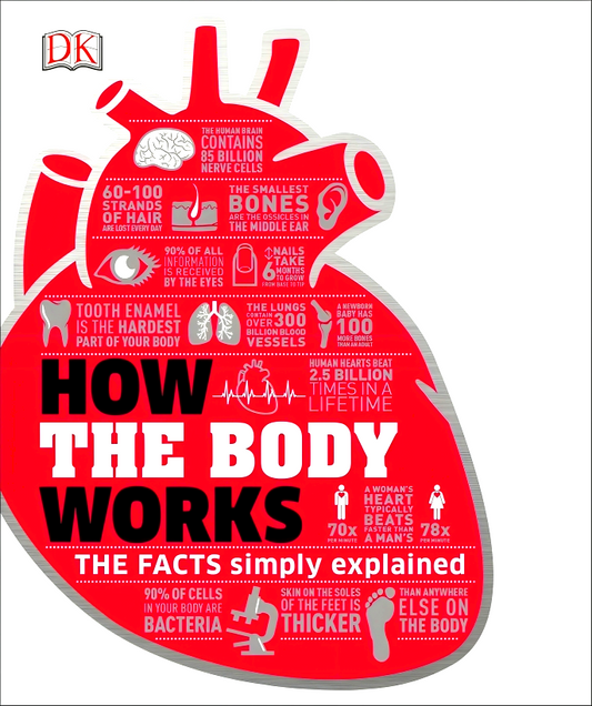 How The Body Works