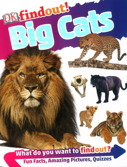 Dkfindout! Big Cats