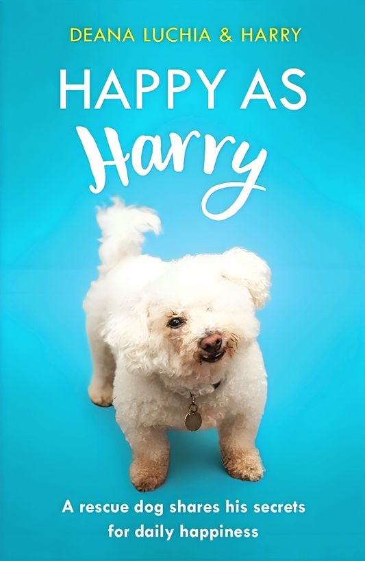 Happy as Harry: A Rescue Dog Shares His Secrets for Daily Happiness