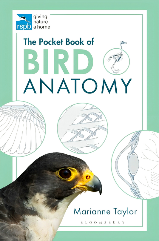 The Pocket Book Of Bird Anatomy