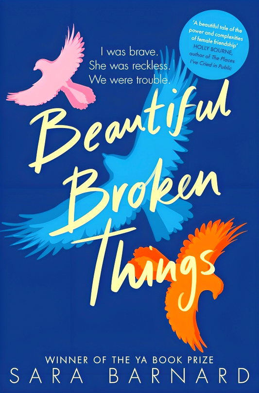 Beautiful Broken Things