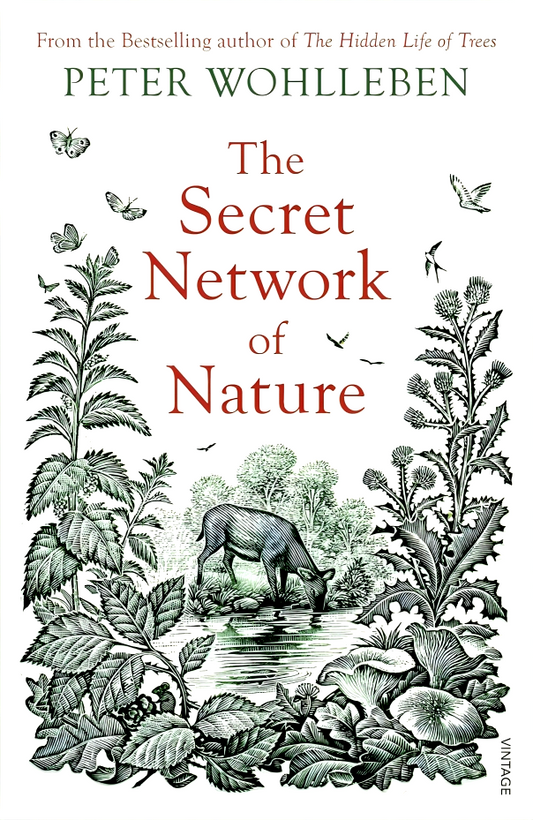 The Secret Network Of Nature