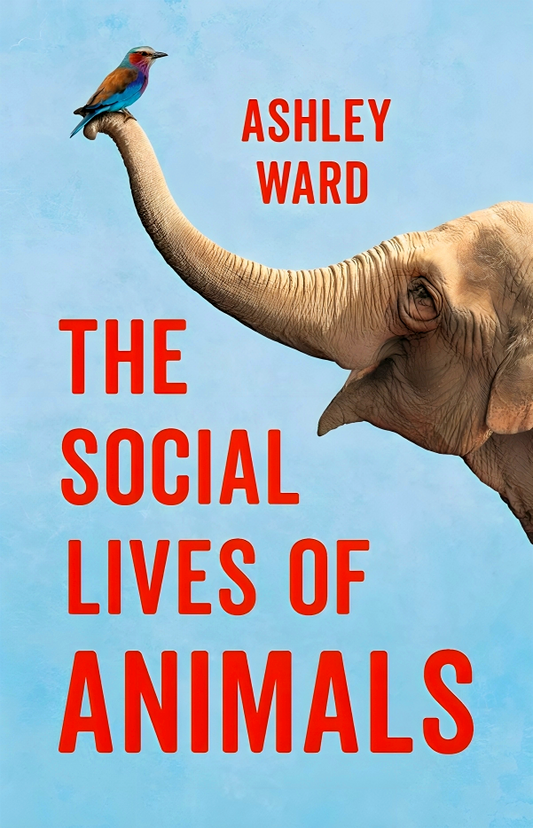 The Social Lives Of Animals