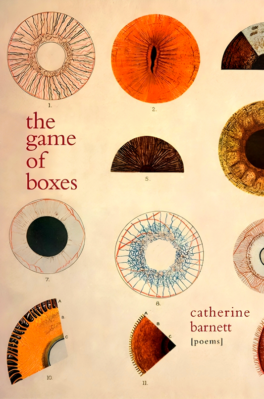 The Game Of Boxes: Poems