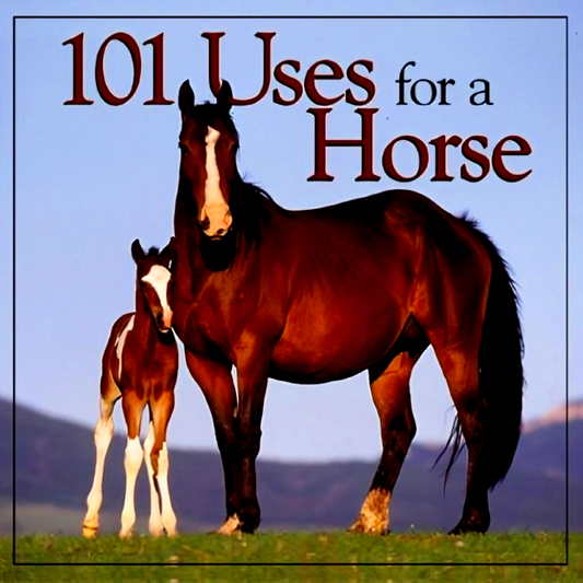 101 Uses For A Horse