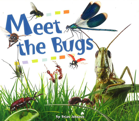 Meet The Bugs