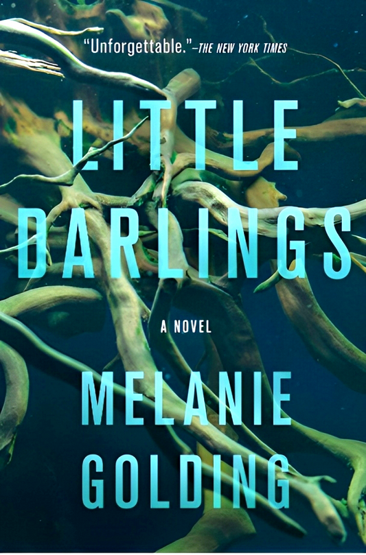 Little Darlings: A Novel