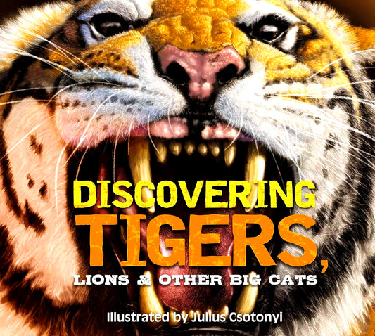 Discovering Tigers, Lions And   Other Cats