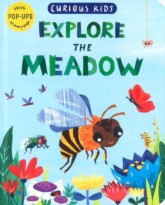 Explore the Meadow (Curious Kids)