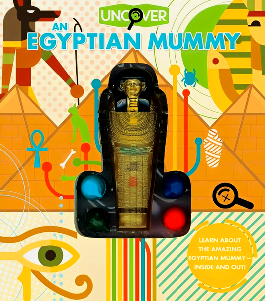 Uncover An Egyptian Mummy