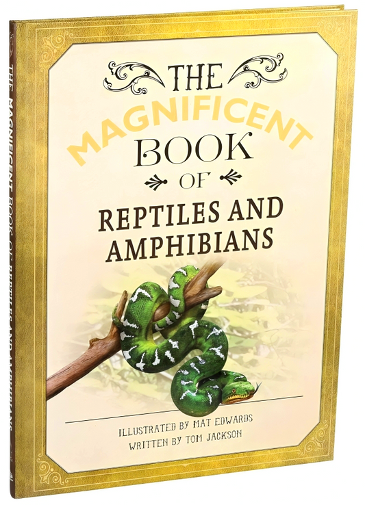 Magnificent Book Of Reptiles And Amphibians